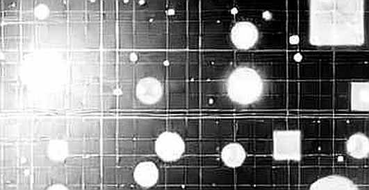 The 23% Signal: When Prediction Markets Become the News The 23% Signal: When Prediction Markets Become the News