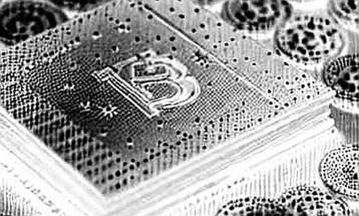 Iran-Pakistan Border Leak: How Smart Money Is Pricing Sanctions into Crypto Arbitrage Iran-Pakistan Border Leak: How Smart Money Is Pricing Sanctions into Crypto Arbitrage