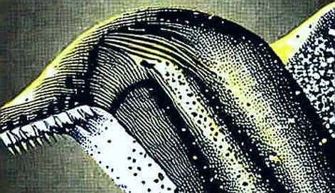 Iran's Warning: The Energy Cliff for Proof-of-Work Chains Iran's Warning: The Energy Cliff for Proof-of-Work Chains
