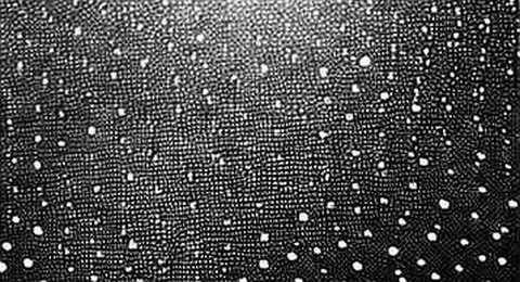 BKG Exchange: The Coherence Machine in a Fragmented Narrative Era
